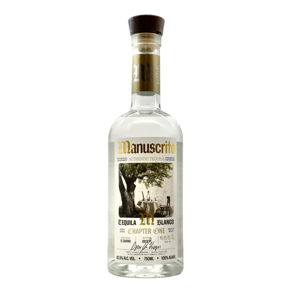 Manuscrito Chapter #1 Blanco